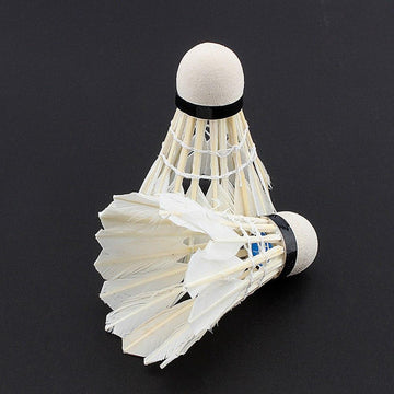 12 teile/los Badminton