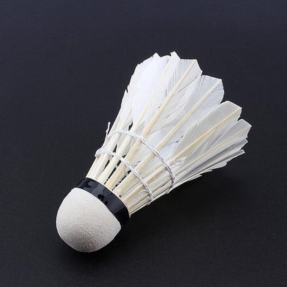 12 teile/los Badminton